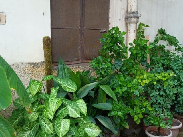 2 BHK Apartment in Hastsal for resale New Delhi. The reference number is 21143914