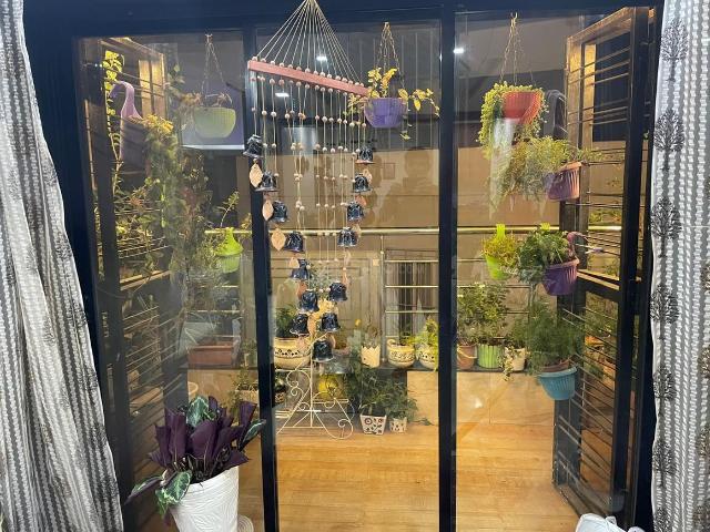 2 BHK Apartment in Viman Nagar for rent Pune. The reference number is 20686373