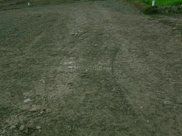 2 BHK Farm House in Chhattarpur for resale New Delhi. The reference number is 19940492