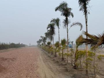 2 BHK Farm House in Ecotech I for resale Greater Noida. The reference number is 20552488