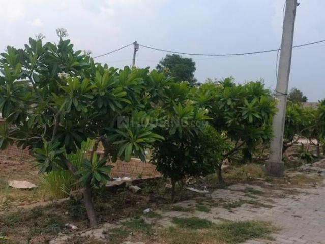 2 BHK Farm House in Jattari for resale Aligarh. The reference number is 20869829