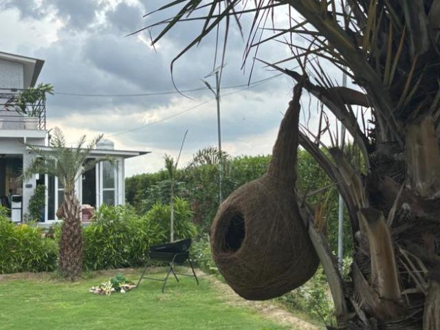 2 BHK Farm House in Sector 150 for resale Noida. The reference number is 18246074