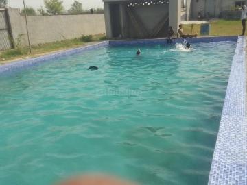 2 BHK Farm House in Sector 23 for resale Faridabad. The reference number is 19776772