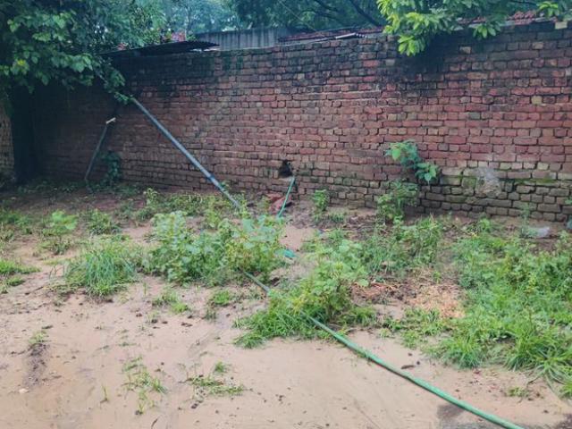 2 BHK Farm House in Teekli for rent Gurgaon. The reference number is 20885722