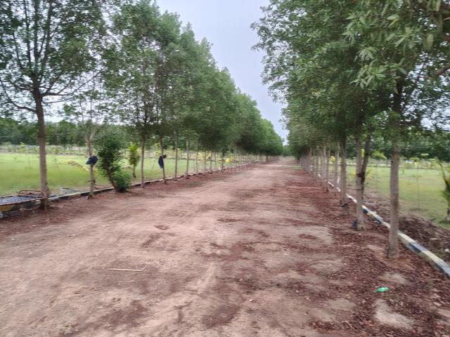 2 BHK Farm House in Uthiramerur for resale Chennai. The reference number is 21312063