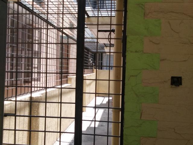 2 BHK Flat for Rent In Btm 1st Stage