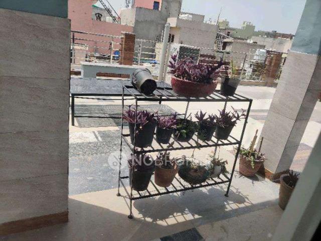 2 BHK Flat In Mayka for Rent In Shanti Nagar, Shivaji Nagar, Sector 11