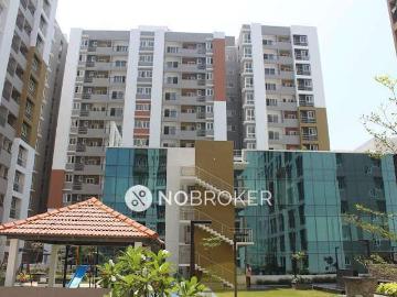 Sowmya Nagar, Kanchipuram, Kancheepuram District, Tamil Nadu