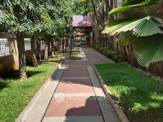 2 BHK Flat In Oceanus Triton for Rent In Oceanus Triton Bellandur