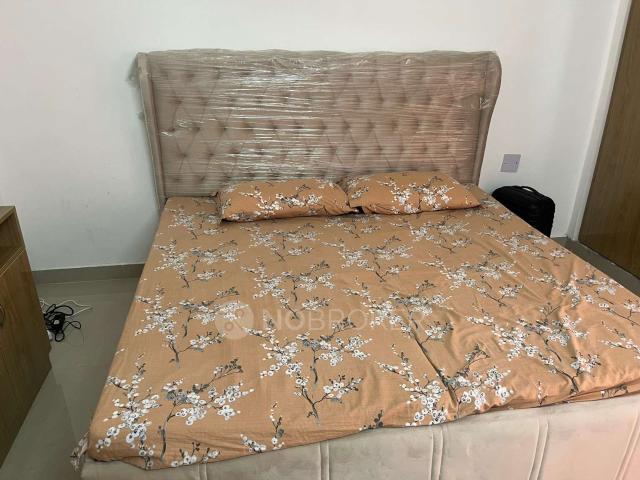 2 BHK Flat In Ats Allure for Rent In Sector 22d