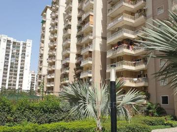 2 BHK Flat In Ajnara Homes for Rent In Bhangel