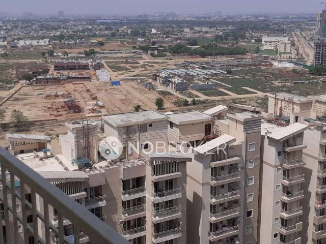 2 BHK Flat In Ajnara Homes for Rent In Sector 16b