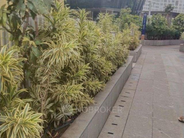 2 BHK Flat In Amrona Park Hadpsar for Rent In Amnora