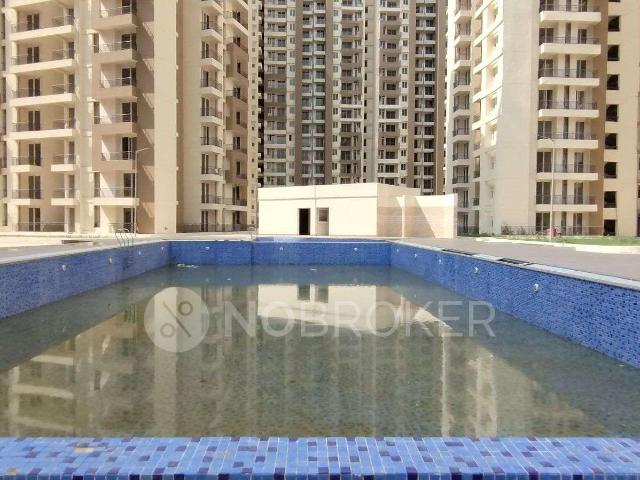 2 BHK Flat In Amrapali Golf Homes And Kingswood Noida for R