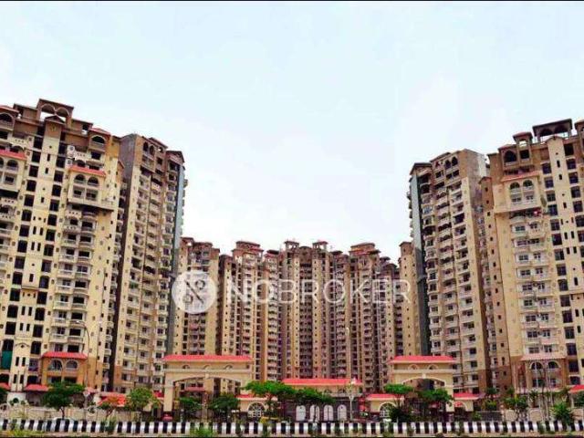 2 BHK Flat In Amrapali Sapphire for Rent In Sector 45
