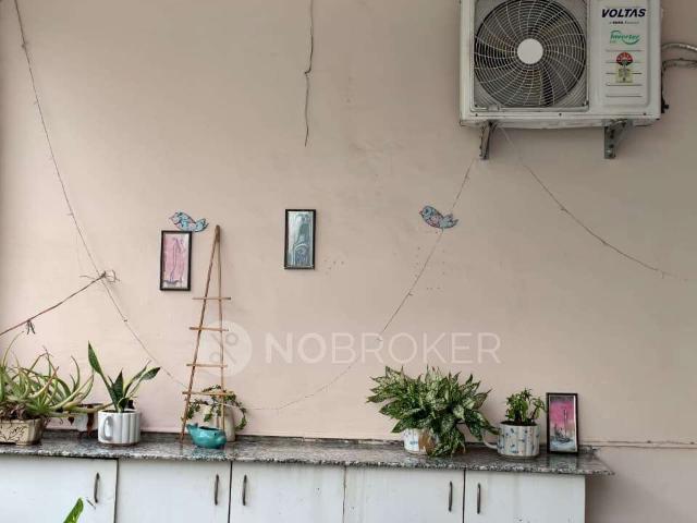 2 BHK Flat In Ansal Plaza for Rent In Palam Vihar