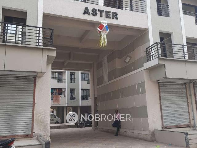 2 BHK Flat In Aster Building for Rent In Saphale