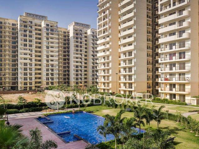 2 BHK Flat In Bestech Sector 81 for Rent In Sector 81