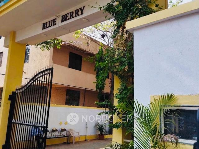 2 BHK Flat In Blue Berry for Rent In Kharadi