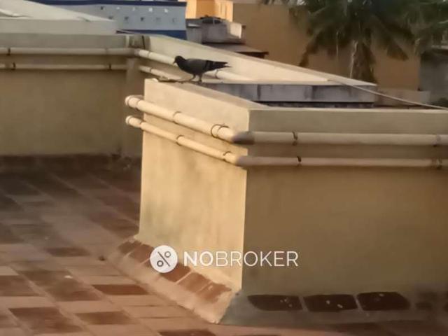 2 BHK Flat In Capital Sbr Avanti Apartments For Sale In Chromepet