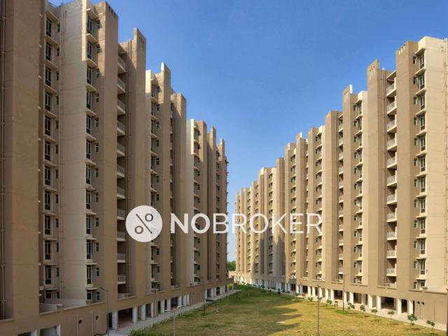 2 BHK Flat In Conscient Habitat Residences for Rent In Sector 78