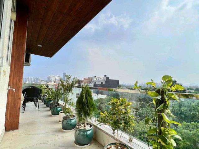 2 BHK Flat In Corona Optus for Rent In Esplanade Mall, 37c And 37d