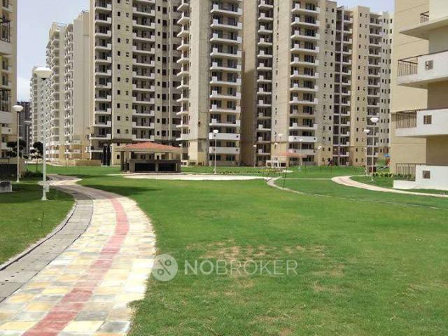 2 BHK Flat In Corona Optus for Rent In Sector 37c