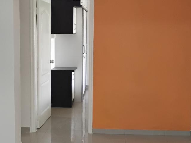 2 BHK Flat In Daffodils Housing Society for Rent In Pimpri