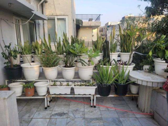 2 BHK Flat In Ekta Apartment for Rent In Paschim Vihar