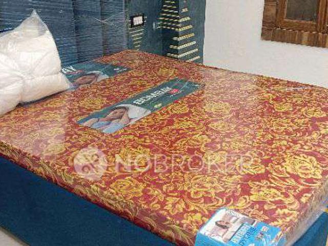 2 BHK Flat In Gulab Bagh Meher Palace for Rent In Uttam Nag
