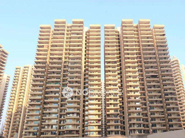 2 BHK Flat In Gaur Yamuna City 16th Park View for Rent In Yamuna Expressway