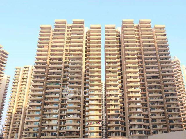 2 BHK Flat In Gaur Yamuna City 16th Park View, Yamuna Expressway for Rent In Yamuna Expressway