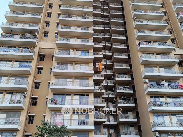 2 BHK Flat In Global Hill View for Rent In Sohna