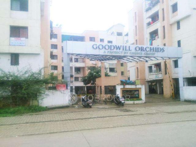 2 BHK Flat In Goodwill Orchids For Sale In Dhanori