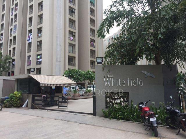 2 BHK Flat In Goyal Orchid Whitefield for Rent In Whitefield