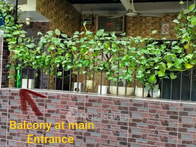 2 BHK Flat In Kd Block Pitampura for Rent In Pitam Pura