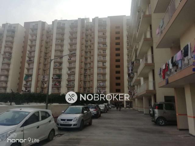 2 BHK Flat In Klj Platinum Plus for Rent In Sector 77