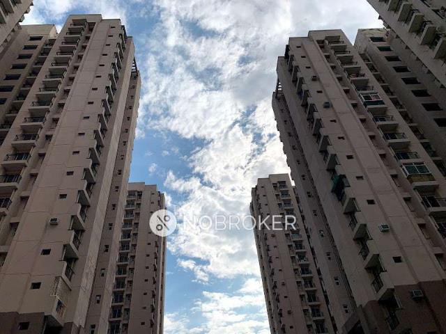 2 BHK Flat In Luxuria Estate for Rent In Bamheta