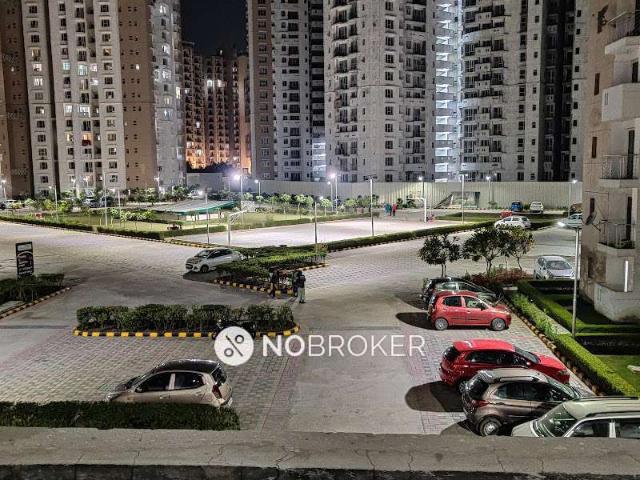 2 BHK Flat In Logix Blossom Greens for Rent In Sector 137
