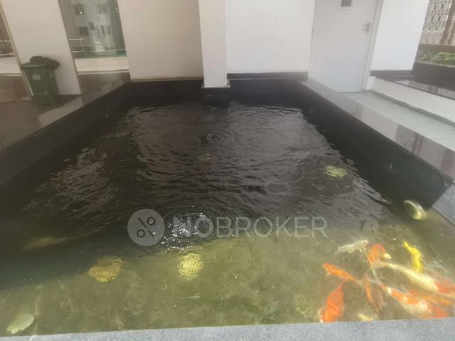 2 BHK Flat In Purva Zenium For Sale In Hosahalli