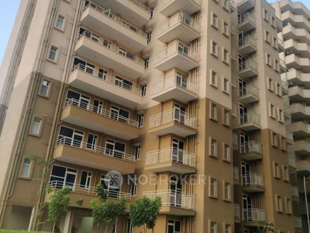 2 BHK Flat In Pyramid Urban Homes 2 for Rent In Sector 86