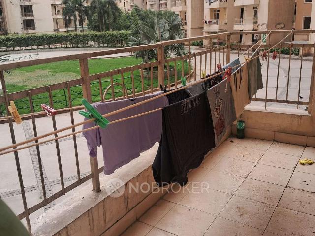 2 BHK Flat In Panchsheel Greens for Rent In Sector 16 B