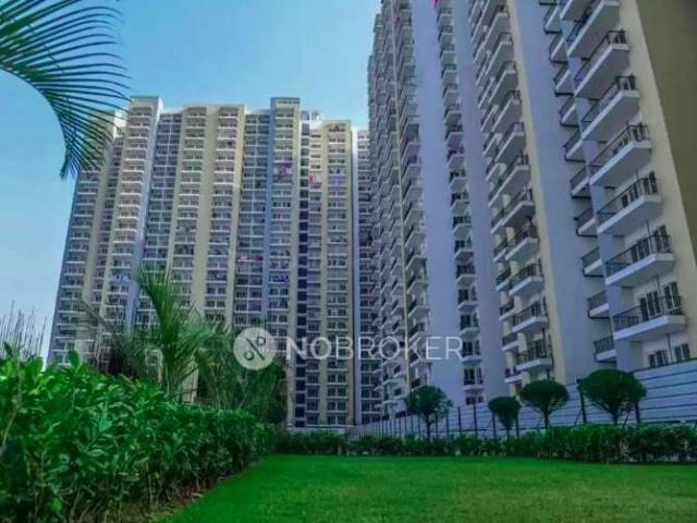 2 BHK Flat In Panchsheel Greens for Rent In Sector 16 B