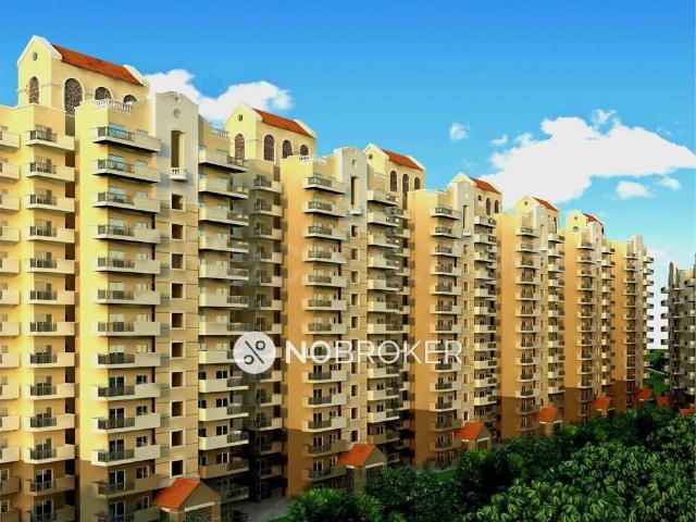2 BHK Flat In Pivotal Devaan for Rent In Sector 84