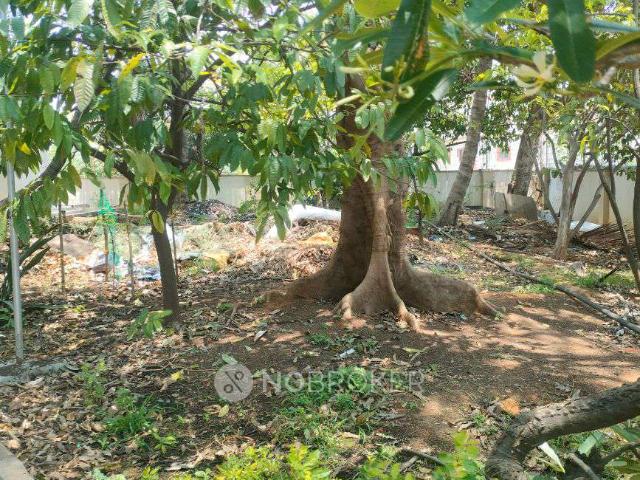 2 BHK Flat In Svr Flora for Rent In Hsr Layout