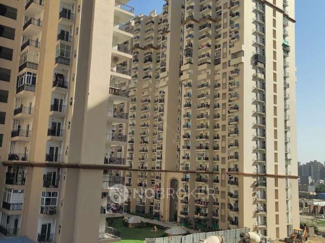 2 BHK Flat In Saviour Green Arch for Rent In Sector 17 A