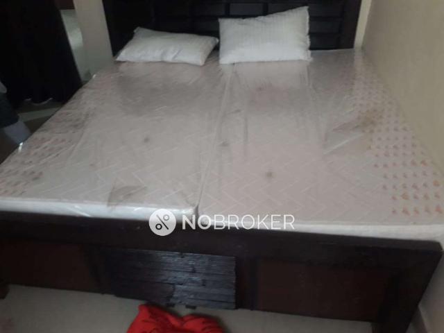 2 BHK Flat In Sbi Residency for Rent In Gaur City 2