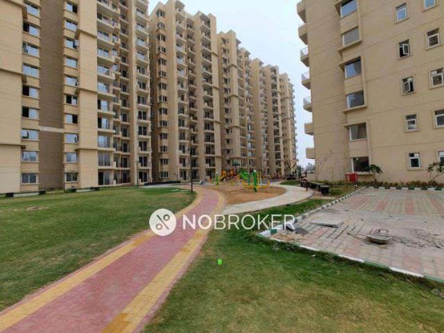 2 BHK Flat In Signature Global Orchard Avenue 2 for Rent In