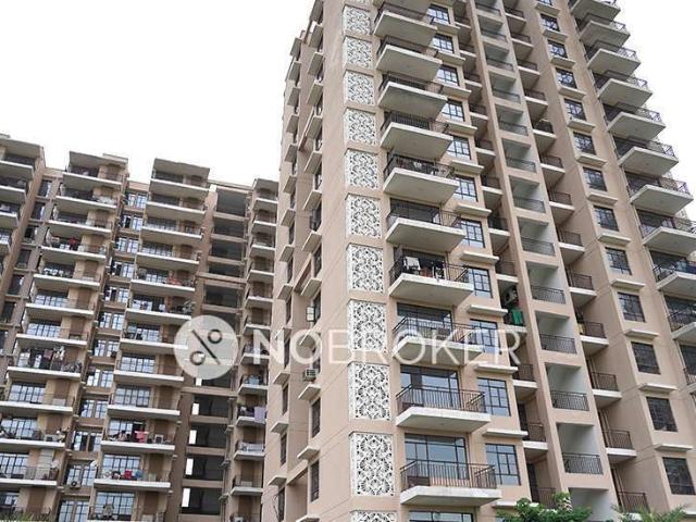 2 BHK Flat In Signature Global Synera for Rent In Sector 81
