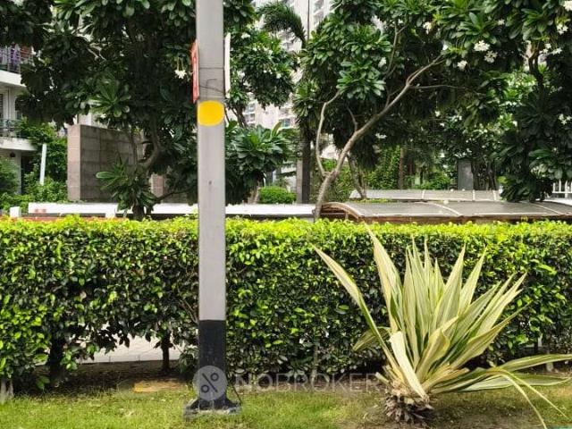 2 BHK Flat In Twin Celestial 1 for Rent In Sector 1